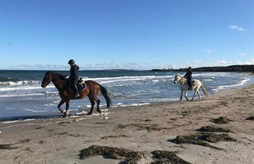 Ferienhaus Wiesenkate - Foto 32