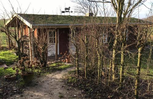 Gartenhaus Frieda - Foto 2