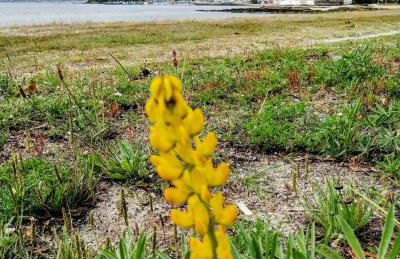 Apartamento boutique "A casa de Lola" - Foto 27