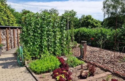 Ferienwohnung Harmonie - Foto 31