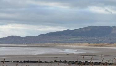 Paws a while - Photo 3