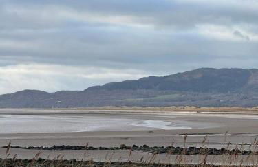 Paws a while - Foto 3