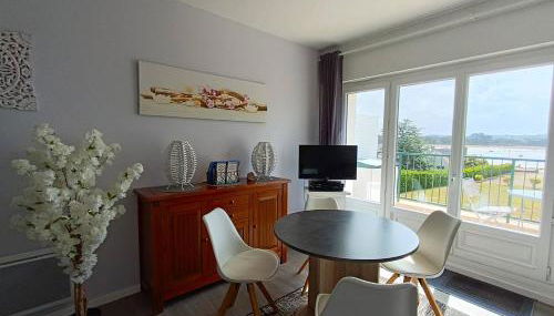 Appartement rénové avec terrasse VUE SUR MER à TREGASTEL - Ref 481 - Foto 3