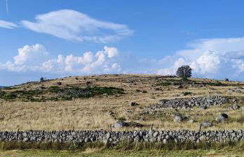 L'Oustalou - Tiny house en Aubrac - calme & nature - Foto 40