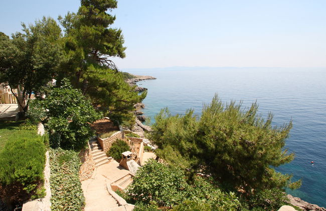 Plavac Mali - Foto 19