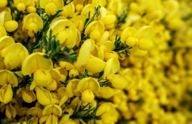 Apartamento Almanzor - Photo 31