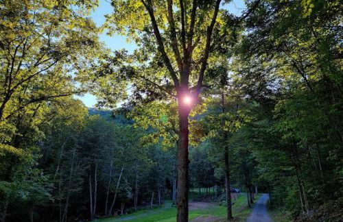 Zen River Retreat - Foto 27