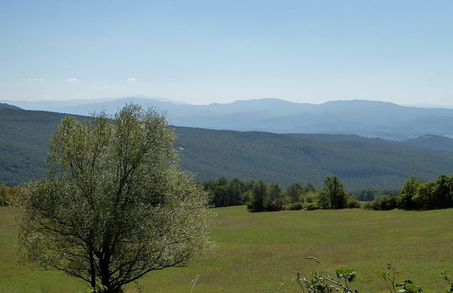 Holiday Home in Montecarelli With Pool - Photo 30