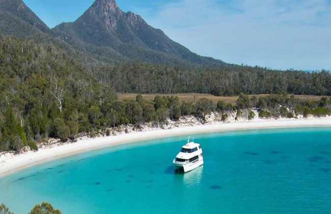 Wineglass Bay Cruise - From Hobart - Photo 4