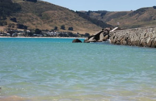 Hampton on Apollo - Ocean Mountain View Creekside Retreat Pet Friendly Free EV Charger Fireplace Wood Supplied During Winter - Photo 23