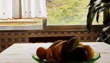 Peaceful place in São Vicente - Foto 5