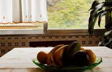 Peaceful place in São Vicente - Foto 5