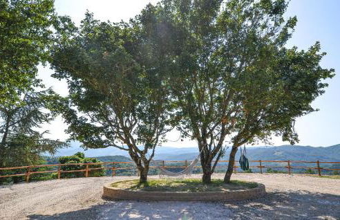 Socagril Verde Ss - Foto 25