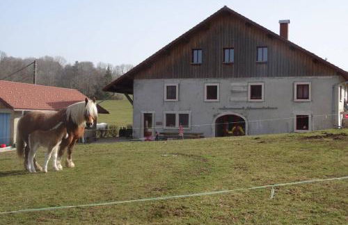 Gîte du cheval blanc - Foto 7