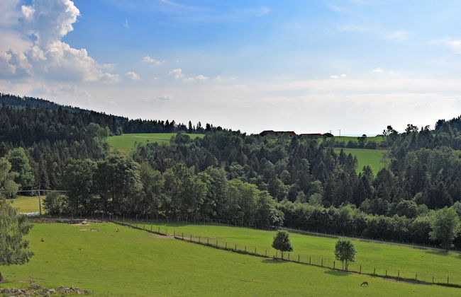 Geraumige Ferienwohnung in Stocking in Waldnahe - Photo 33