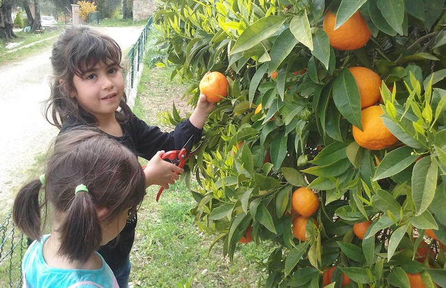 La Maison de Noélie - rez de jardin - Foto 8