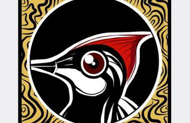 Il Nido del Picchio - Foto 51