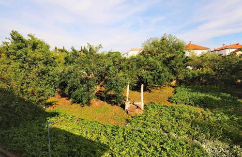 Senkini Dvori - Photo 64