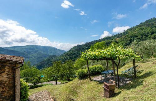 Fattoria di Pietrabuona - Photo 6