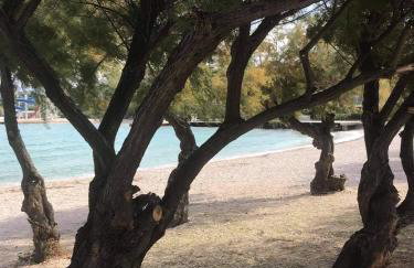 Originally Apartments Sonya - Foto 41