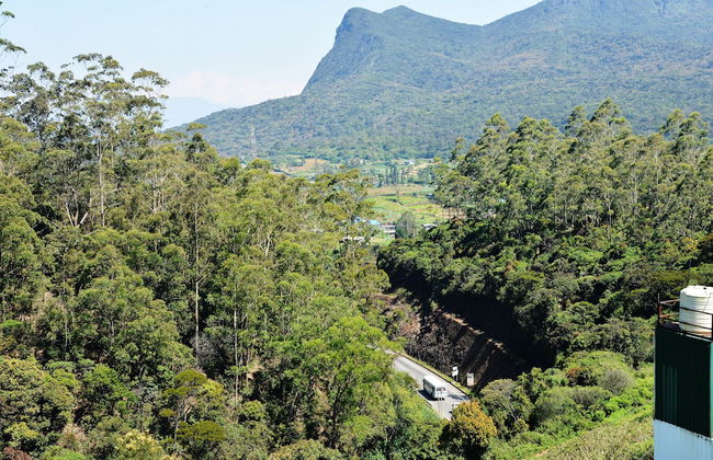 Kingsford Residences - Foto 38