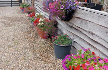 Larch Cottage Ruston with hot tub, dogs go free - Foto 25