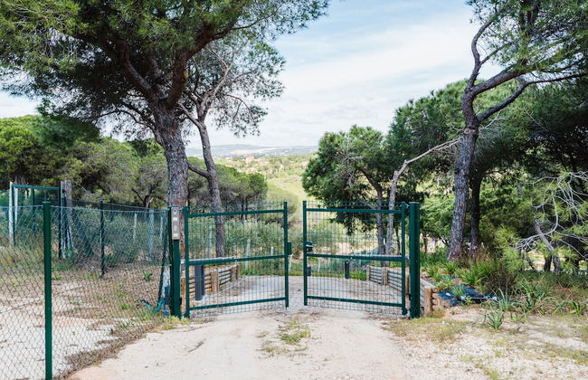 Casa da Alegria - Photo 52