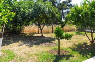 Antheia's House - Foto 15