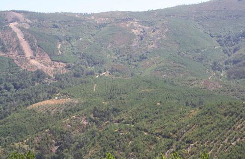 Retiro Da Arminda - Foto 57