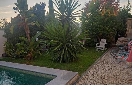 Vila Nogueira De Azeitao - Amaral's Guest Houses - Foto 37