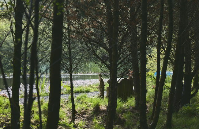 Mushroom Yurt set in 4 Acres of Woodland and Lakes - Foto 22