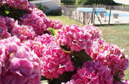 Domaine de Gorre - Foto 72