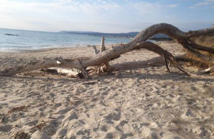 Bilocale Le Rose - Foto 22