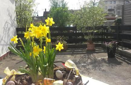 Eulennest-lu - Foto 18