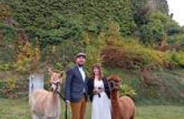 Ferienhaus Alpaka Glück - Foto 48