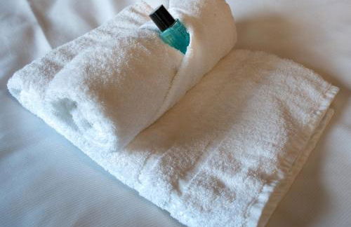 PS120 EGR Business & City Stay WLAN, Gartenblick, Nähe Aachen, ideal für Businessaufenthalt & Städtetrip - Foto 4