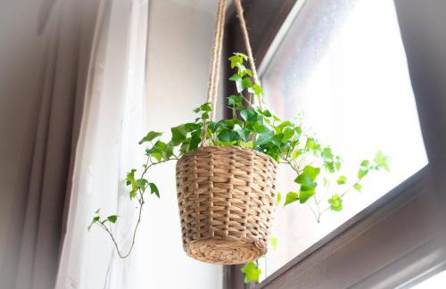 2 Zi.-Wohnung Stadtnah, Messenah - Foto 11