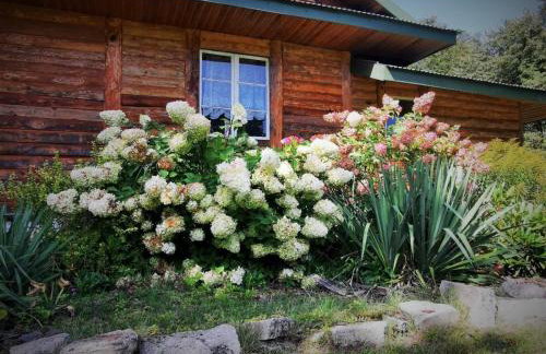 PIZUNY Dom pod dębem z balią na wyłączność - Foto 35