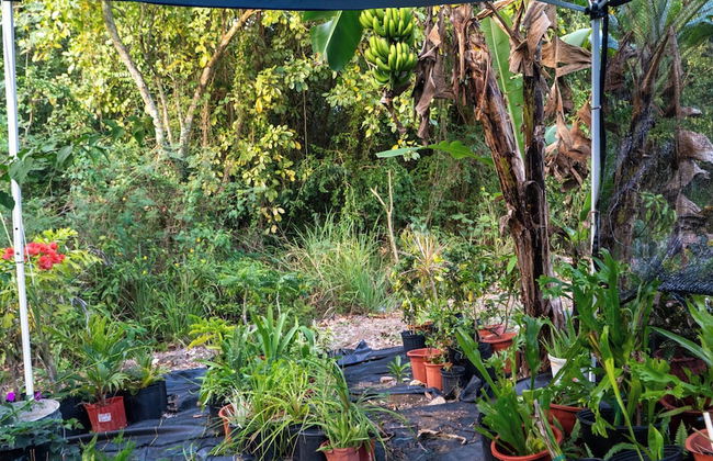 LambLion Holiday Apartments - Photo 58