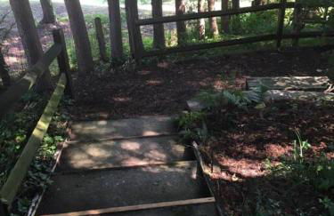 The Nuthatch Cabin - Asheville Tiny Home near the Smokie Mountains! - Foto 25