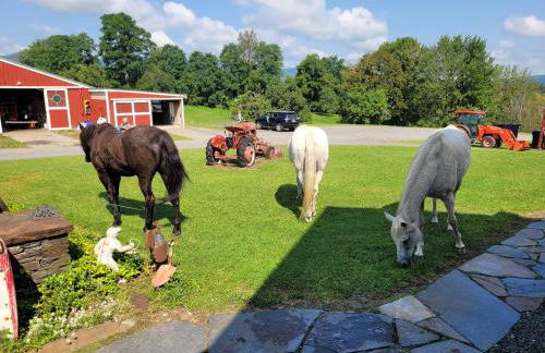 Clover Hill Farm & Country Inn - Foto 43