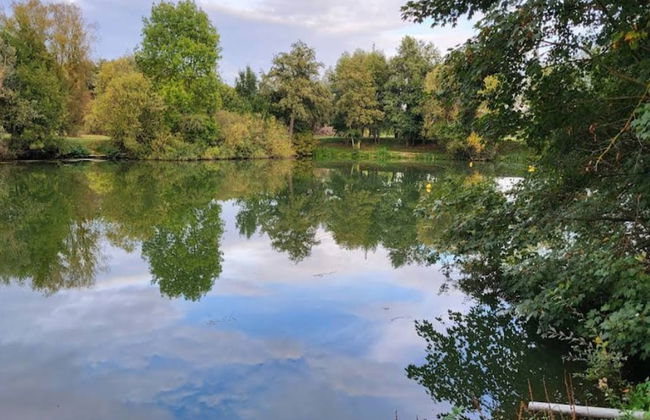 Apartment in Gorlitz With Historic Charm - Foto 20