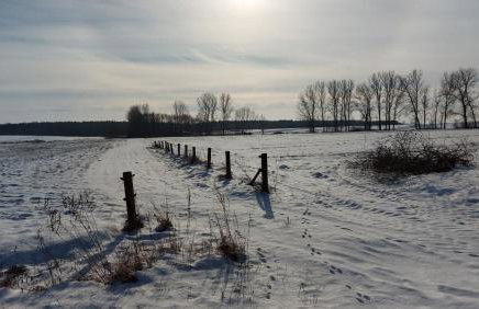Wygodny Dom na Ponidziu z Basenem - Foto 43