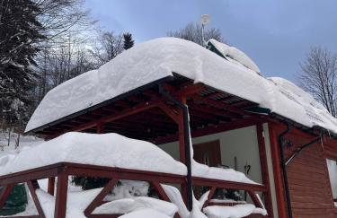 Pod Srebrzystym Świerkiem - Jacuzzi - Foto 51