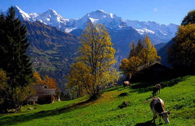 Pristine Home in a Charming Village, Large Grassy Sunbathing Area, View of the Mönch and Jungfrau - Foto 36