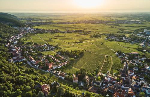 WeinZeit13 Wohlfuehlen an der Weinstrasse mit Sauna - Foto 19