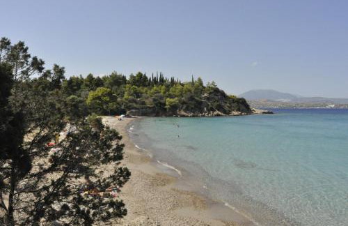 Treehouse Holiday Homes - Foto 46