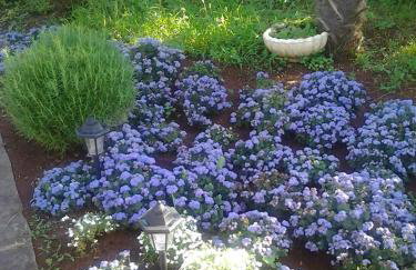 Apartments Mihael and Melani - Foto 56