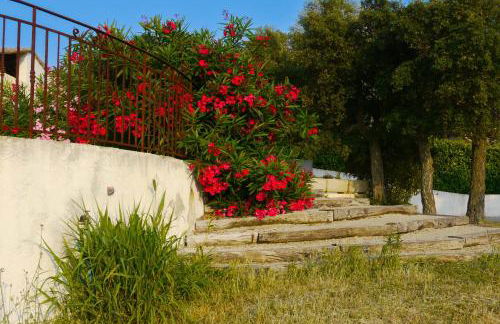 Country villa - Sleeps 8 - Mimosa view - Foto 34