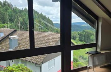 Wohnung im Schwarzwald mit Panorama Blick - Foto 9